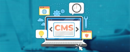 Cms Development Services