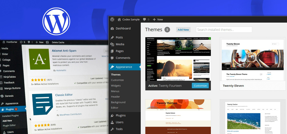 Wordpress Useful Plugins and Picturesque Themes
