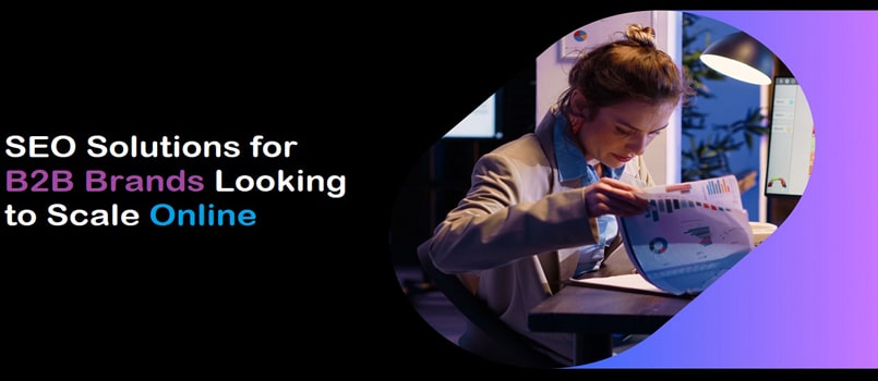 SEO Solutions for B2B Brands Looking to Scale Online